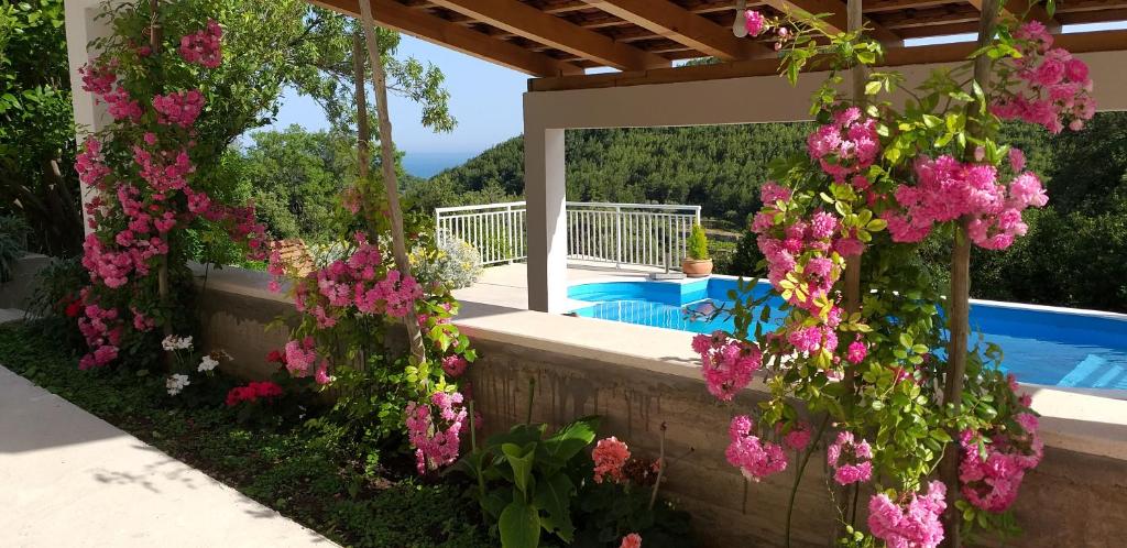 巴比诺波尔杰Mediterranean stone house的一座种有粉红色花卉的花园和一个游泳池