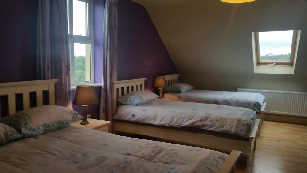 康镇Whitethorn Lodge, Bed & Breakfast, Lackafinna的一间卧室设有两张床和窗户。