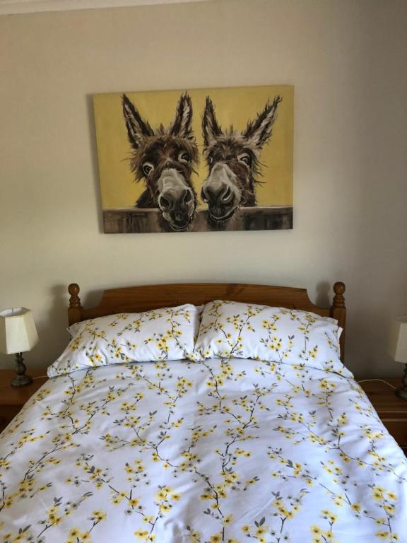 巴利米纳Laurel Country Cottage的一间卧室,配有一张床,上面有两只驴子
