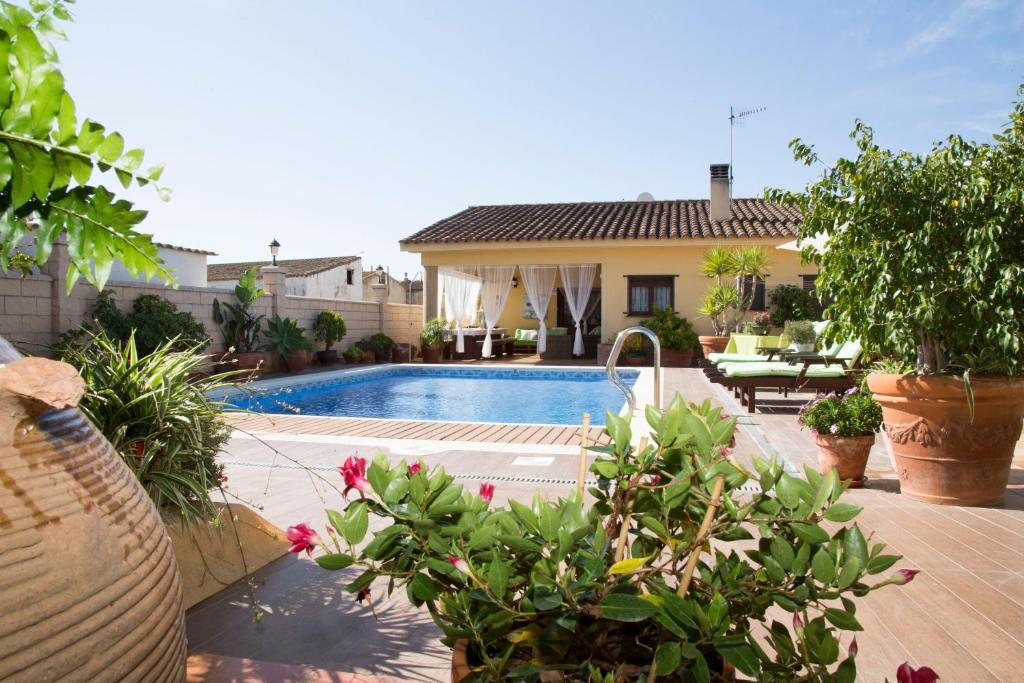 代尔特布雷Villa Ca La Vicen的一座带游泳池和一些植物的房子