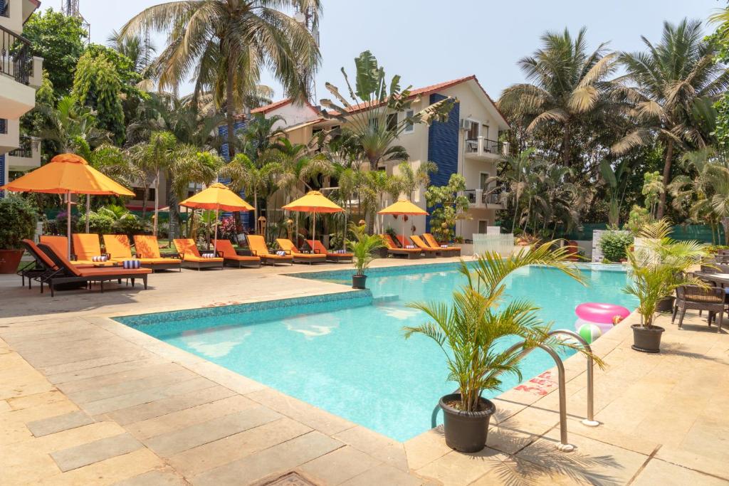 卡兰古特Kyriad Prestige Calangute Goa by OTHPL的游泳池,带椅子和遮阳伞