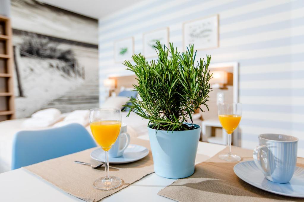 尼彻兹villa botanica的一张桌子,上面放着两杯橙汁和盆栽