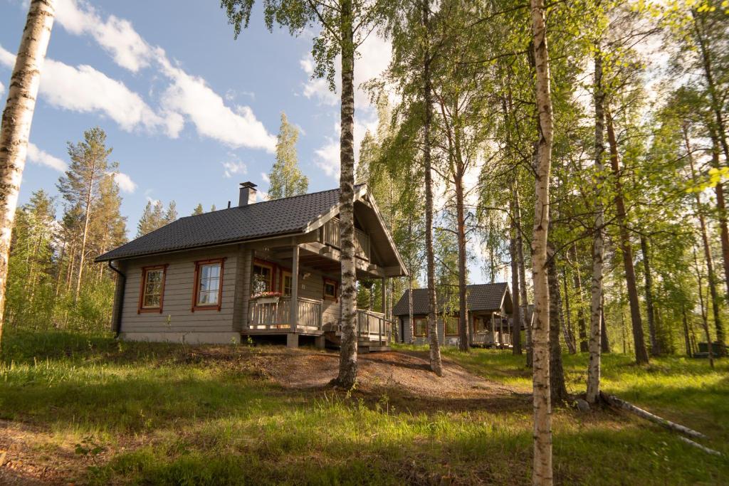 SulkavaHoliday Village Kukkapää的树林中的小屋