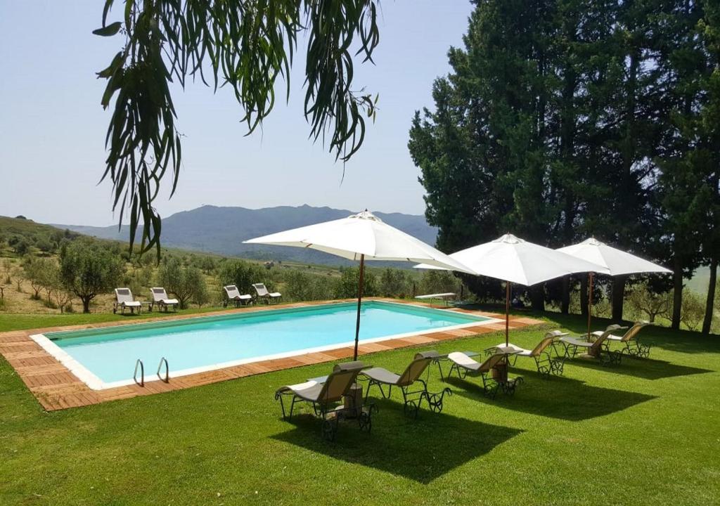 皮亚纳德利亚尔巴内西马塞里亚罗塞拉酒店的一个带草坪椅和遮阳伞的游泳池