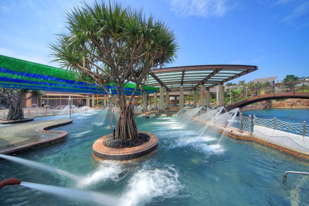 万里区金涌泉SPA温泉会馆的中间有一个棕榈树的水上公园