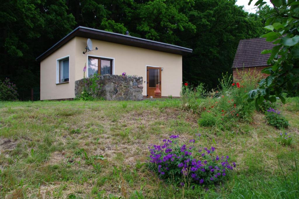 于克里茨Bungalow am Forsthaus Stagnieß的紫色花田里的一个小房子