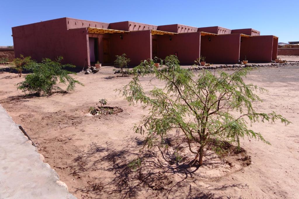 圣佩德罗·德·阿塔卡马Casa Ckelar Atacama的沙漠中的一座建筑,前面有树木