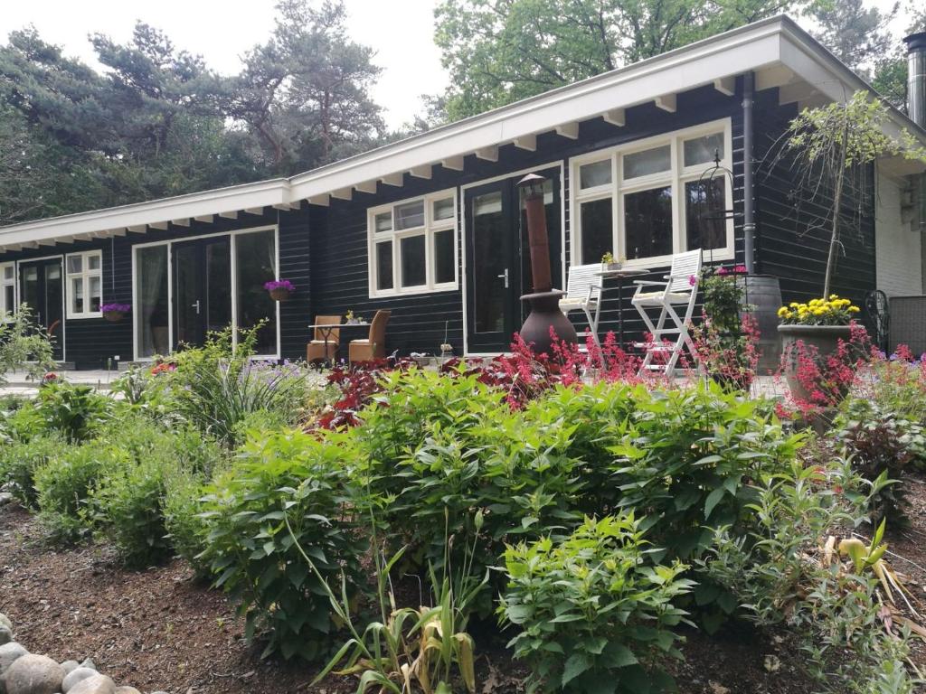 赫尔蒙德Bosgeluk的院子里有鲜花的黑色小房子