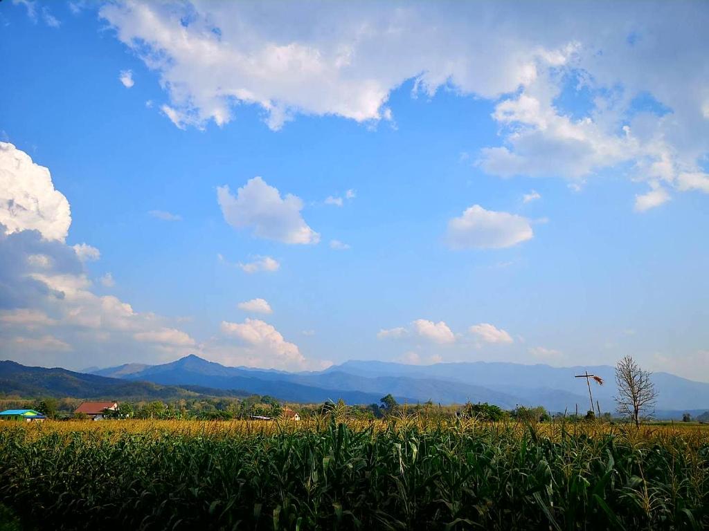 Ban Huai Laบ้านมาดีโฮมสเตย์的一片蓝天云的草地