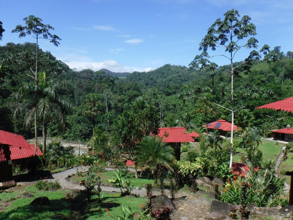 Bajo Tigre帕库阿尔河山林小屋的享有以山脉为背景的度假胜地的景致。