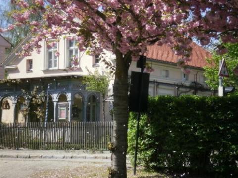 吕本Altes Gärtnerhaus的房子前有粉红色花的树