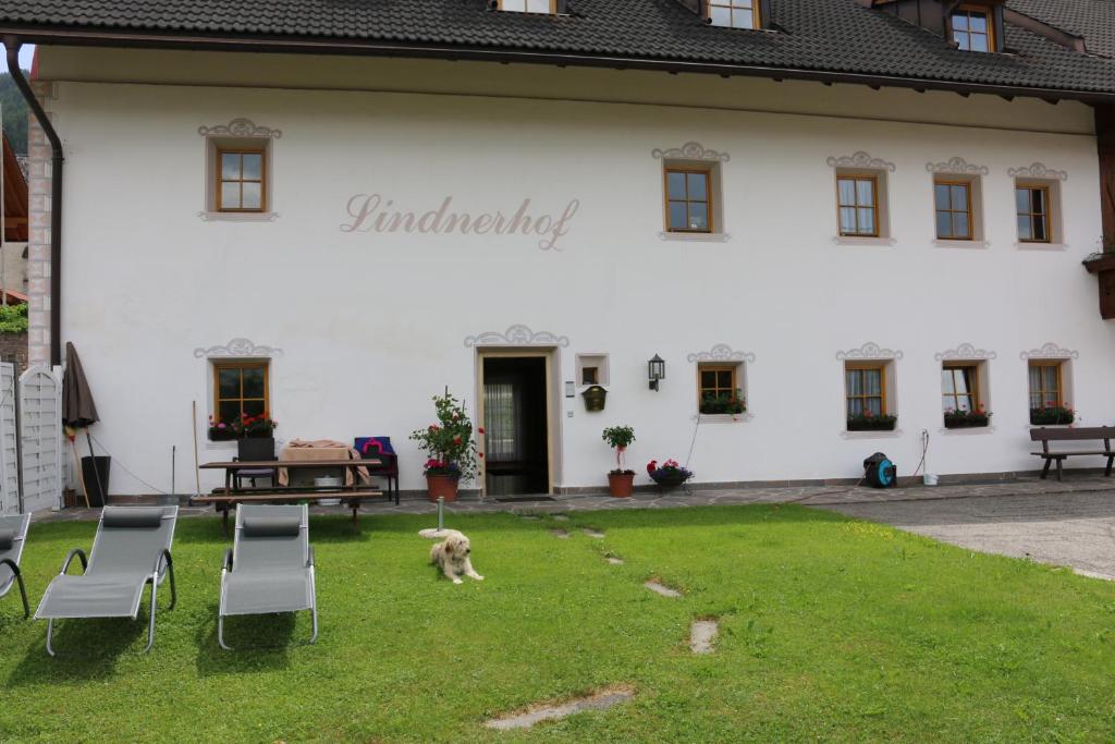 圣洛伦佐-迪塞巴托Lindnerhof Urlaub am Bauernhof的一只狗在白色建筑前走