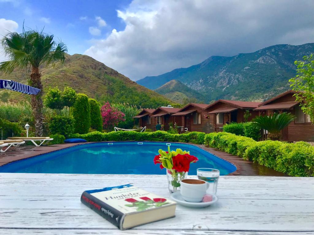 阿德拉桑阿德拉桑艾达酒店的一张桌子,上面有书和花,在游泳池边