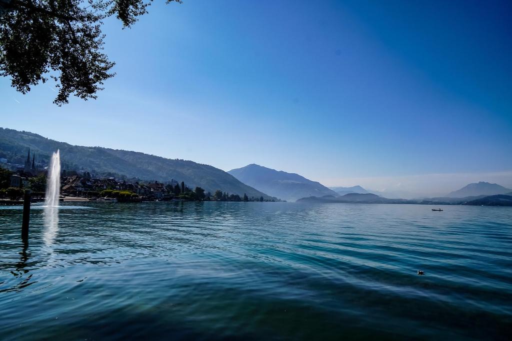 楚格Zug Zugersee Lake- and Mountainview Villa的享有以山脉为背景的湖泊美景