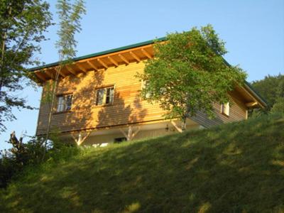 伊布斯河畔格施特灵Ferienhof Kirchau的坐在草山顶上的房屋