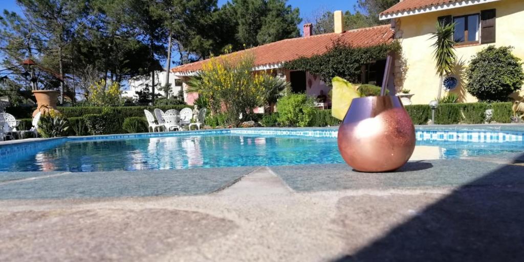 索尔索B&B Romangia的游泳池旁的大花瓶