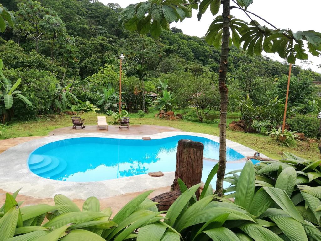 比加瓜Hotel Catarata Río Celeste的花园中的一个游泳池