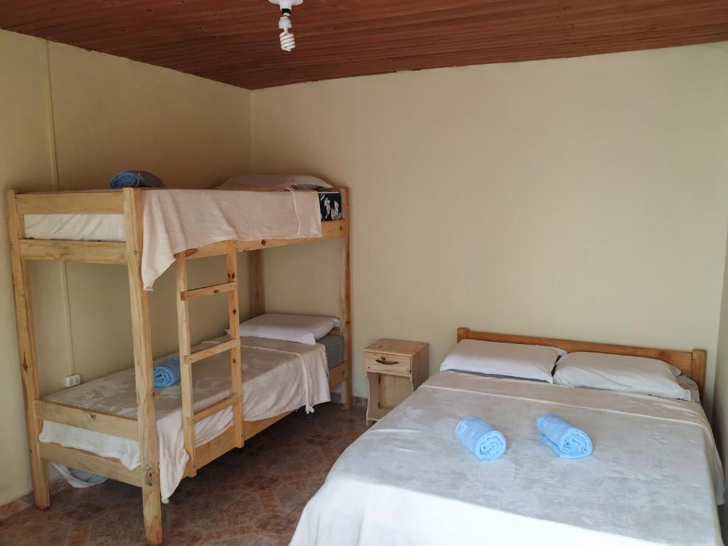 伊瓜苏港Iguazu Rey Hostal的一间卧室配有两张双层床。