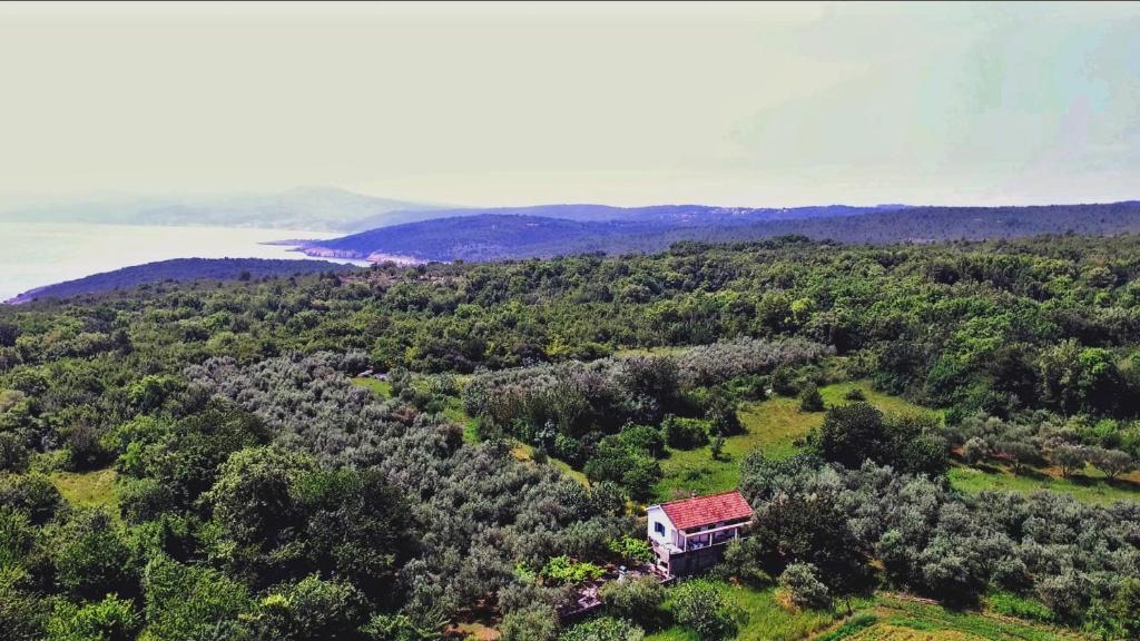 希洛Ecohouse Oliveglia的树木茂密的山丘上房屋的空中景观