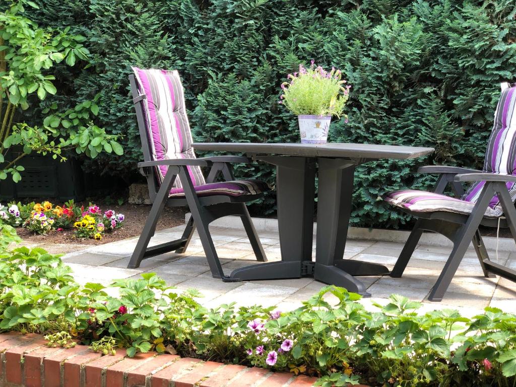 阿尔斯多夫Villa Drita的一张桌子,上面有两把椅子和盆栽植物