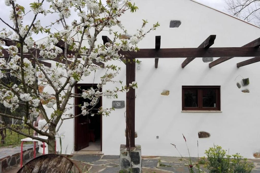 佩纳科瓦Casa da Tileira的前面有棵树的白色建筑