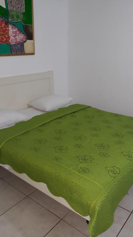 蒂米什瓦拉朱利亚酒店的铺在床上的绿毯