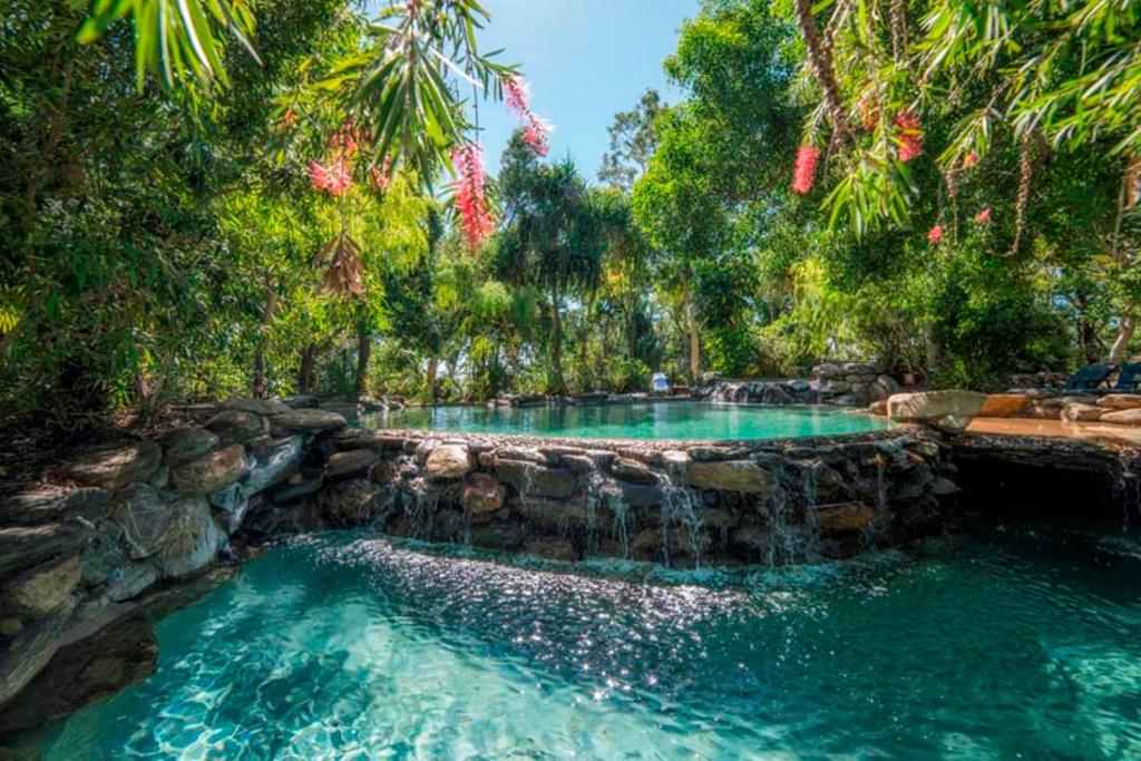 Oak Beach塔莱海滩自然保护区度假村的一座带瀑布和树木的游泳池