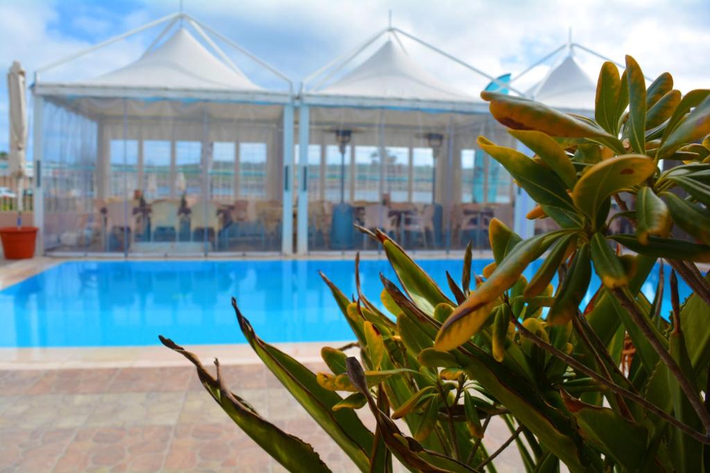 马尔萨斯卡拉森西酒店的享有游泳池的景色,其建筑背景为: