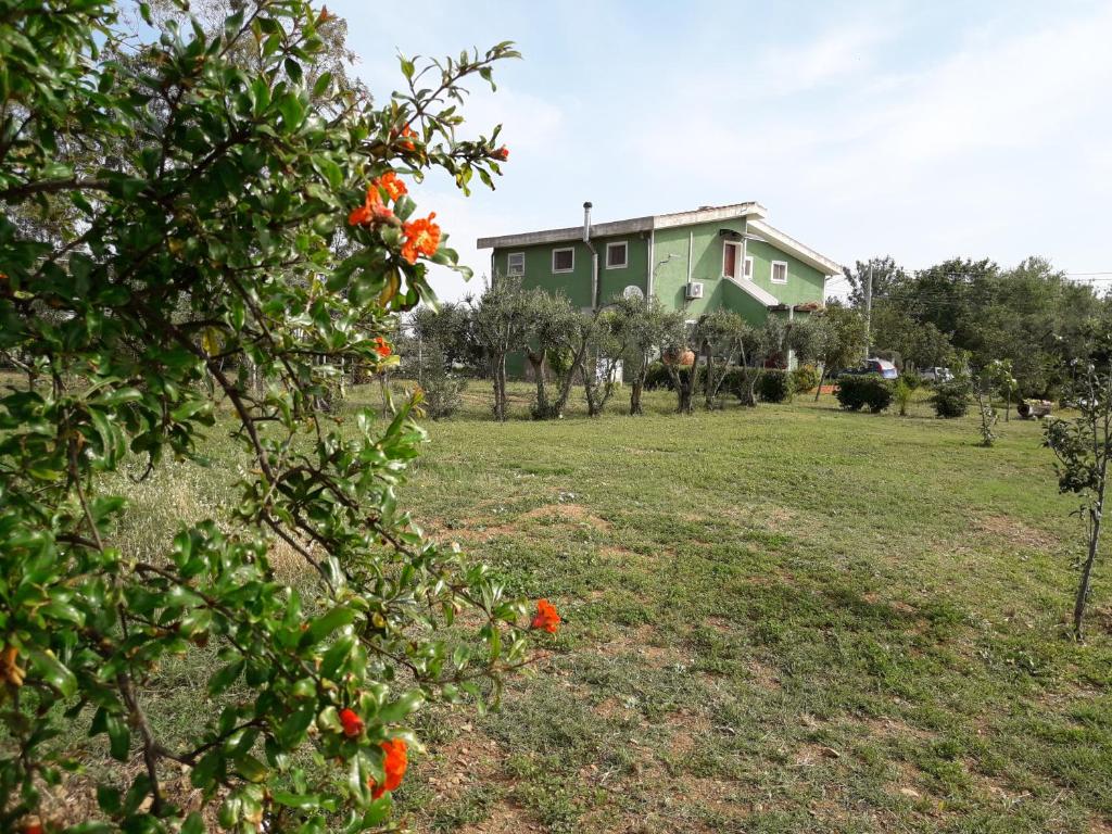 卡波泰拉B & B Country House的橘子树丛中的房子