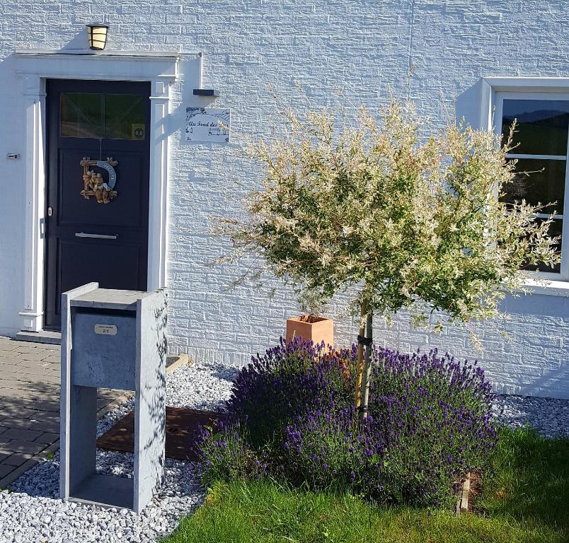 Grez-DoiceauAu Fond des Rys的蓝色的房子,有蓝色的门和一棵树