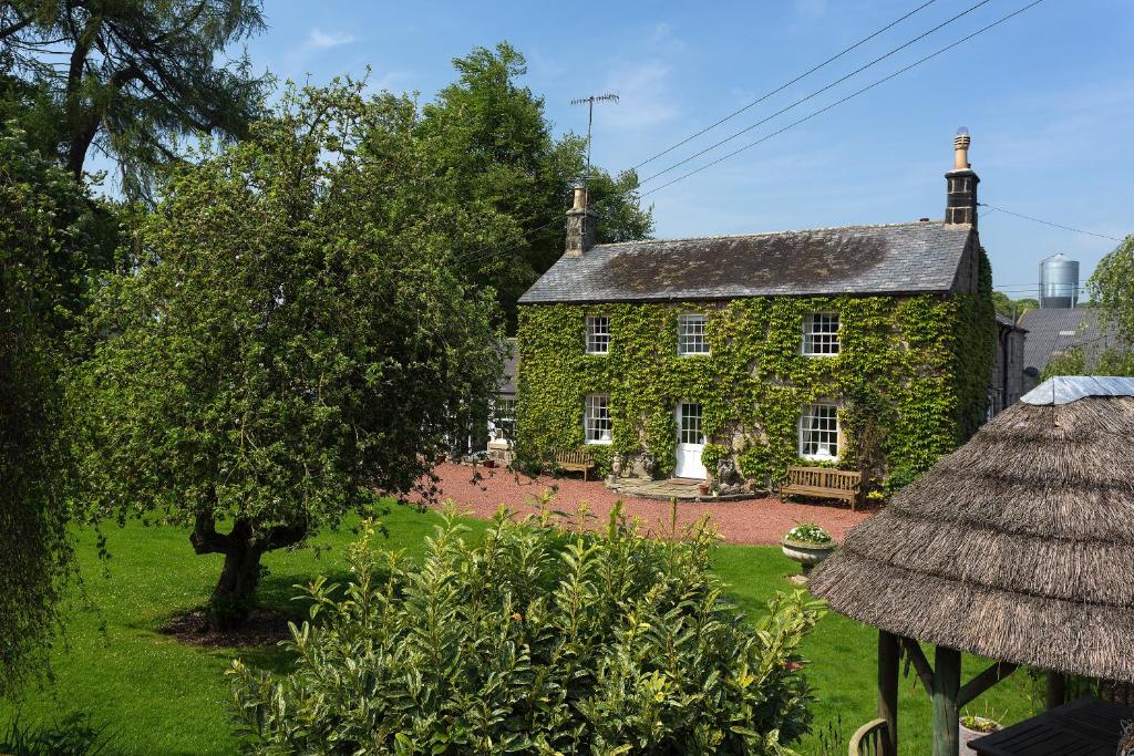 隆霍斯雷Thistleyhaugh farmhouse的一座老石头房子,院子里有一棵树