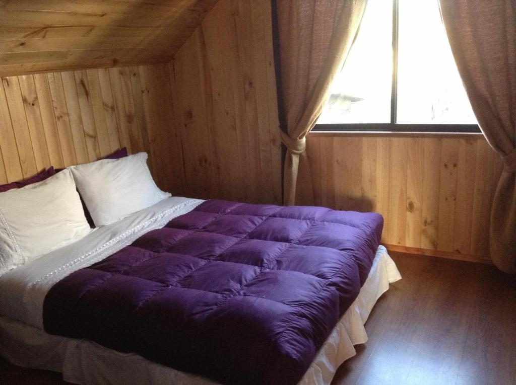 普孔莫尼卡旅馆的窗户客房内的大紫色床