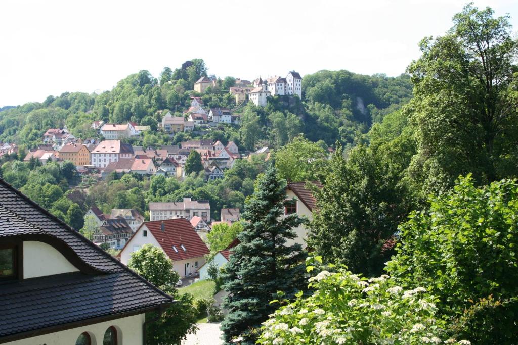 EgloffsteinMaison au soleil的山丘上的小镇,有房子和树木