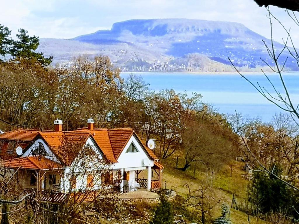 巴拉通尤洛克Ezüsthíd Apartman的山顶上一座带橙色屋顶的房子