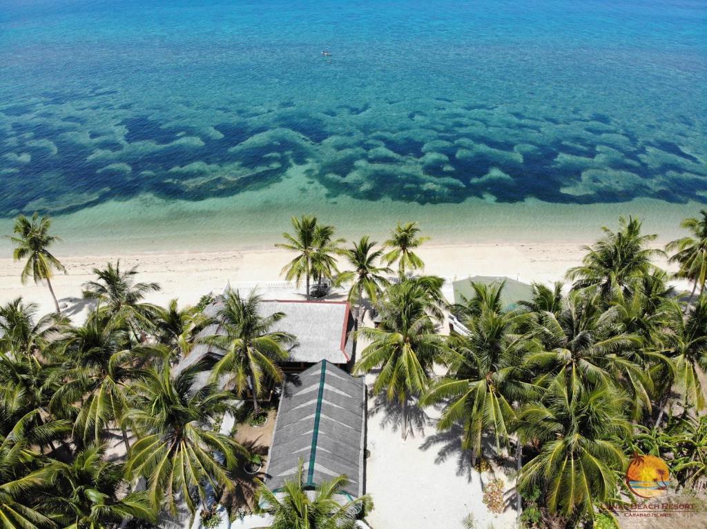 San JoseLanas Beach Resort的享有棕榈树海滩和大海的空中景致