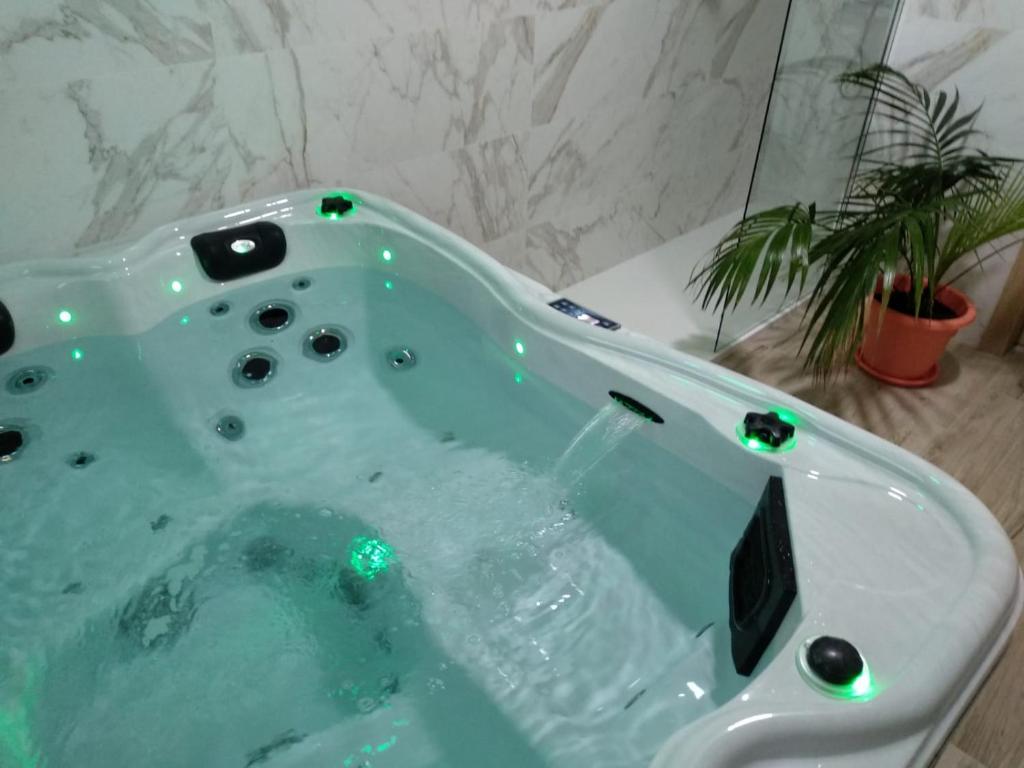 卡拉斯帕拉Hotel Primavera的浴室设有绿灯浴缸