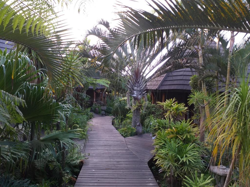 圣卢西亚阿非利加旅馆的穿过热带花园的木人行道,花园内种有棕榈树
