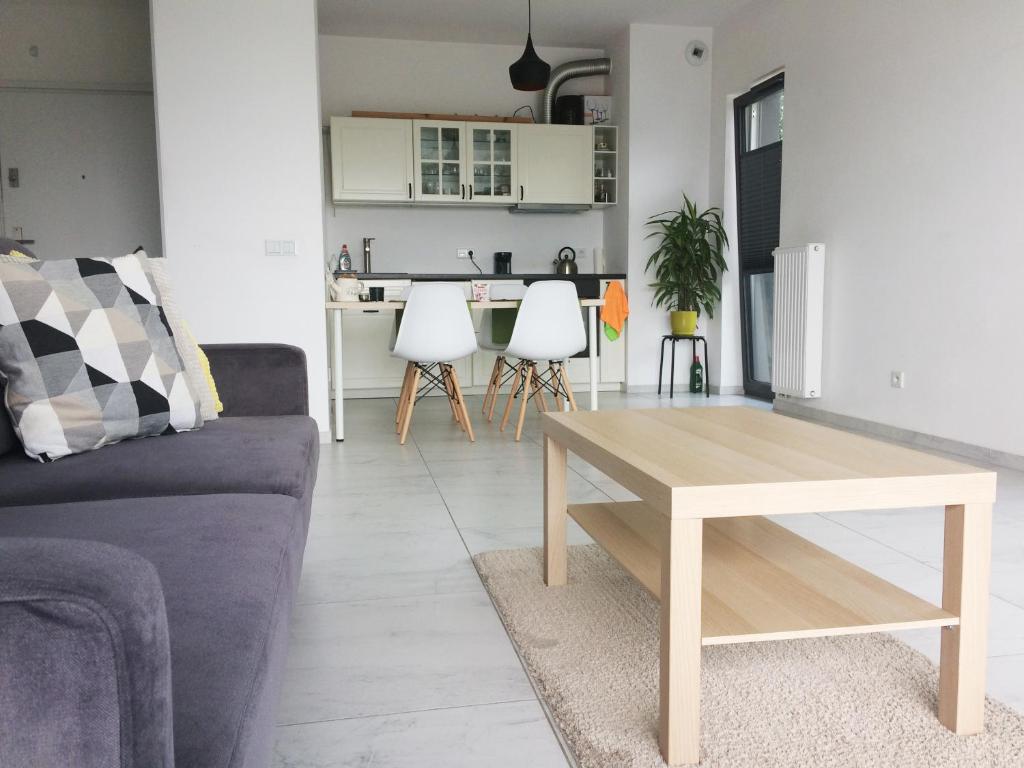 克拉科夫Apartament Naukowców的客厅配有沙发和桌子