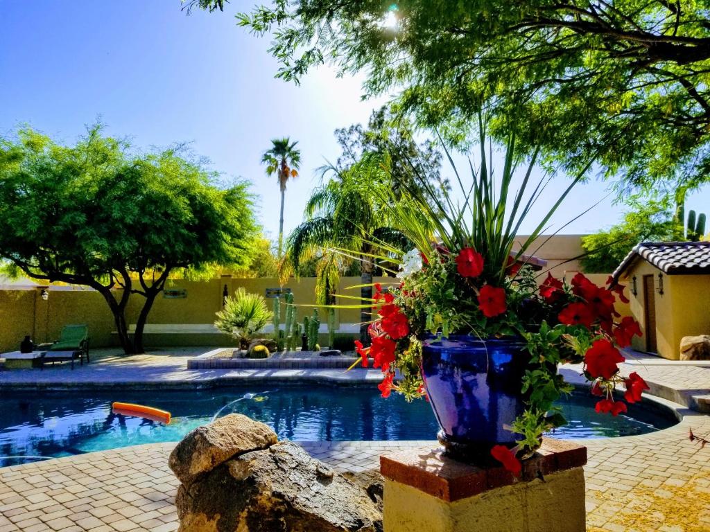 洞溪Private, Quite Casita , N. Scottsdale area,Private Pool & Patio, Cave Creek Az.的游泳池旁的蓝色花瓶装满鲜花