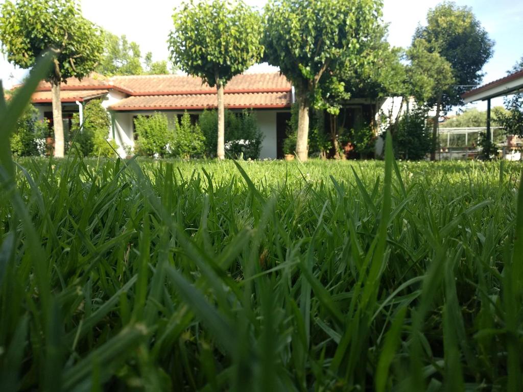 塞沃塔Sivota Colours的享有草坪的景色,房子在后面