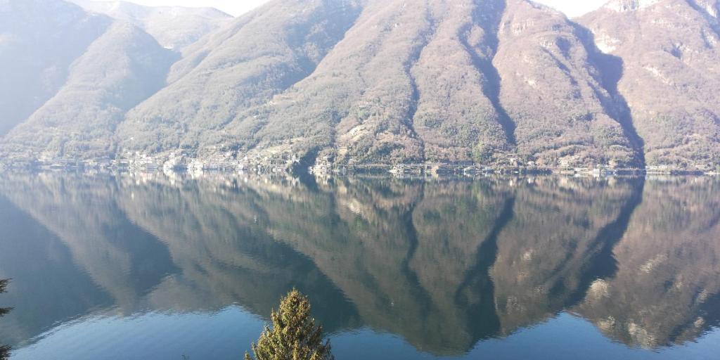 内索Giardino sul lago, La Vigna的水体中山的反射