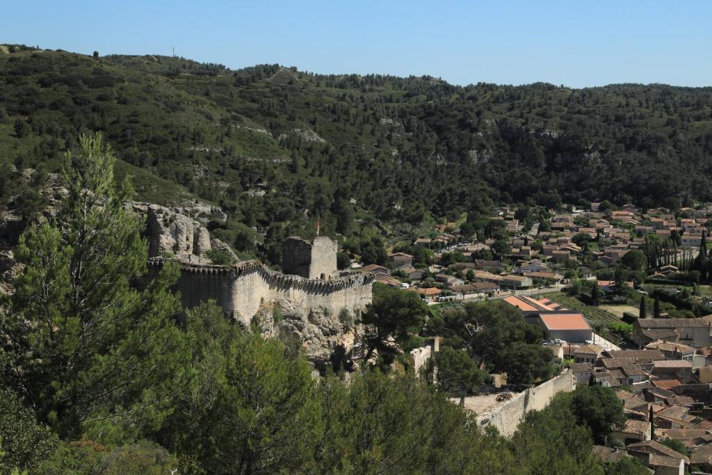 布尔邦Les lavandes de Sèverine的一座位于山丘上的古老城堡,