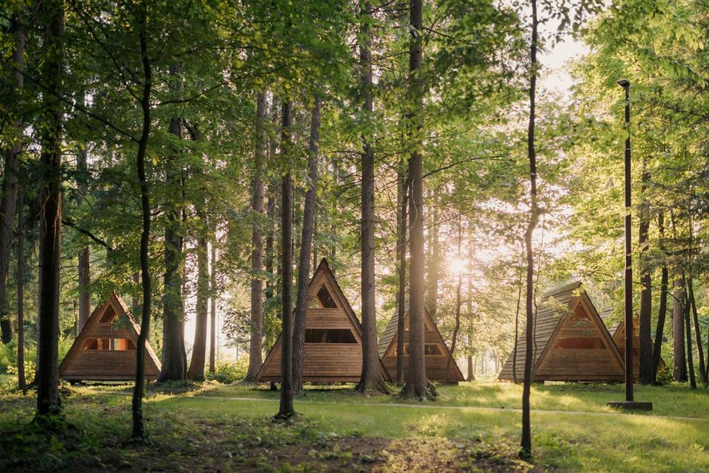 莫济列Forest Camping Mozirje的森林里三个帐篷的一组