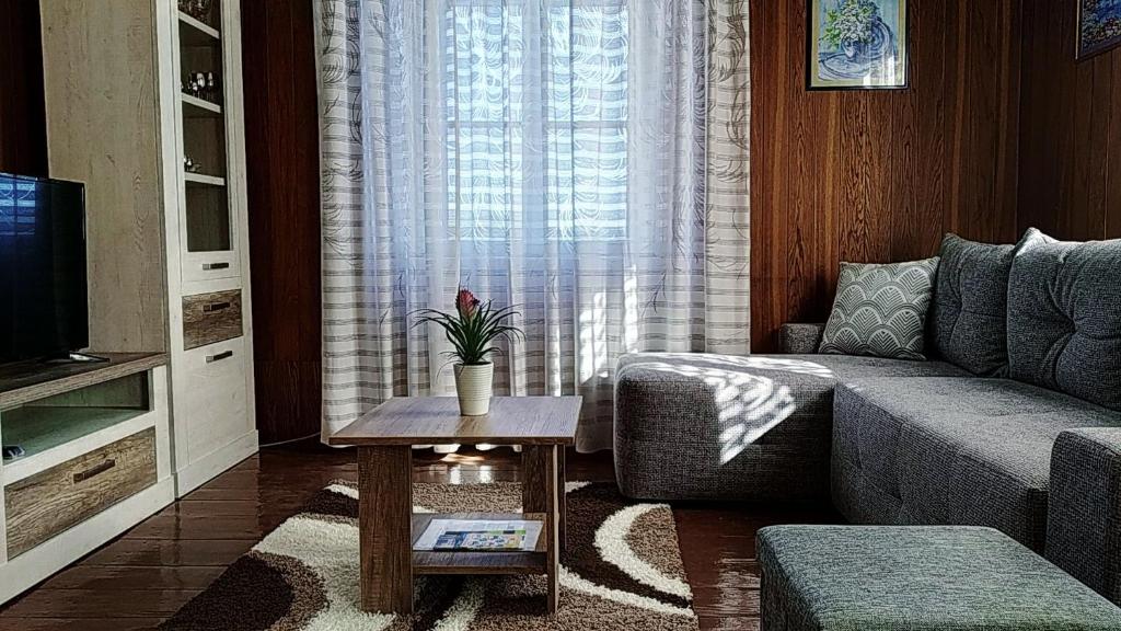 拉斯托伏Apartment Petar的客厅配有沙发和桌子