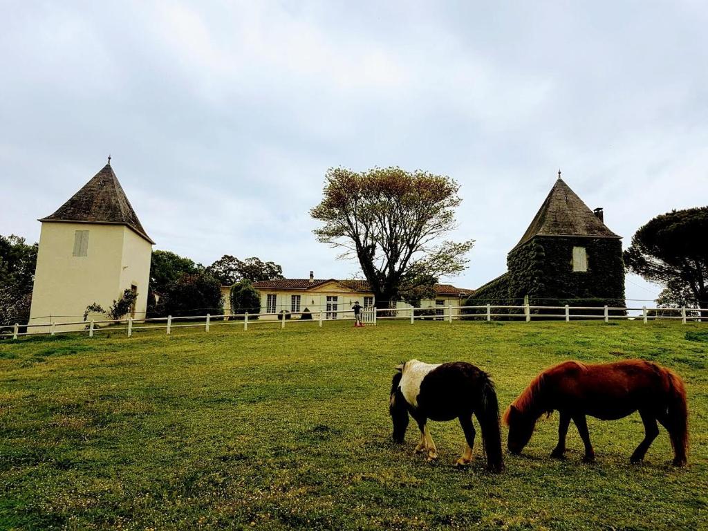 SoulignacLa Jouissiere的两匹马在房子前面的田野上放牧