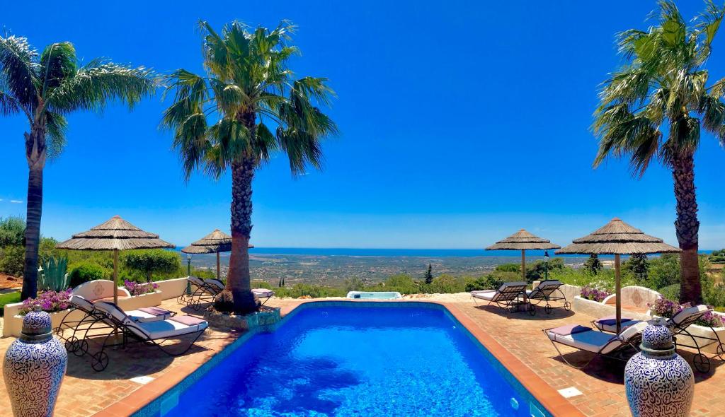 法鲁Monte Borboleta的一座棕榈树和椅子的游泳池