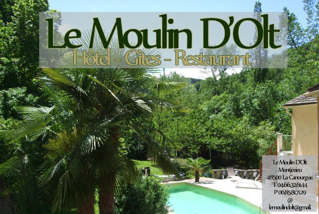 拉卡努尔格Hôtel Le Moulin D'Olt的带有游泳池和棕榈树的杂志封面