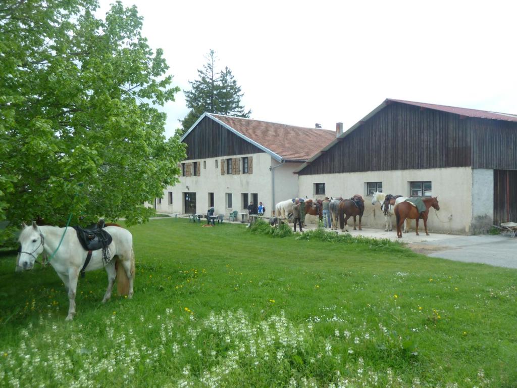 Longcochon马鞍酒店的一群马站在一座建筑前面的草丛中