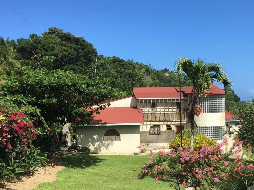 圣安斯贝特雷西纳牙买加旅馆的一座红色屋顶的房子,一棵棕榈树