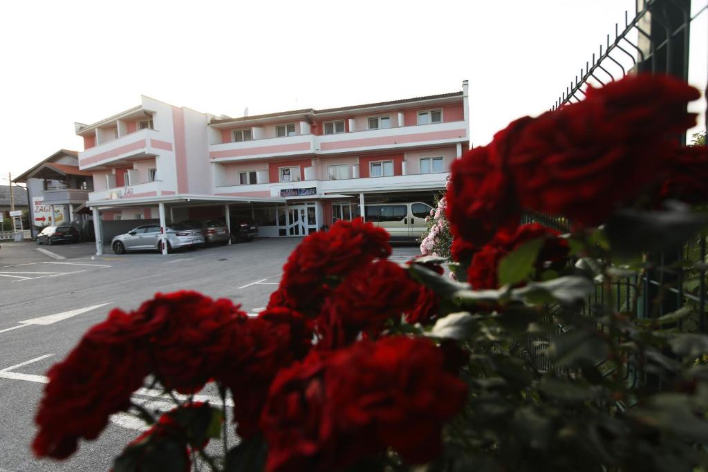 奥罗斯拉伟杰扎格酒店的大楼前的红玫瑰